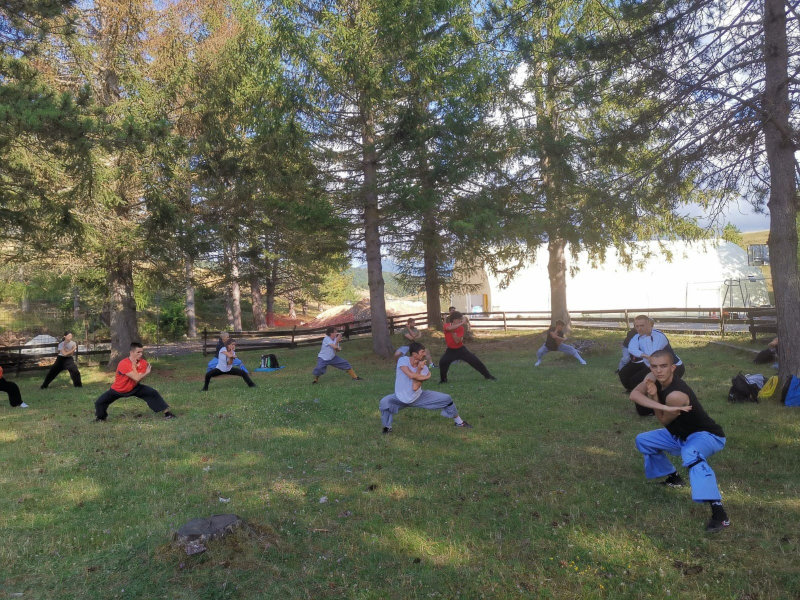 Shaolin Shaolin Kung Fu tradizionale