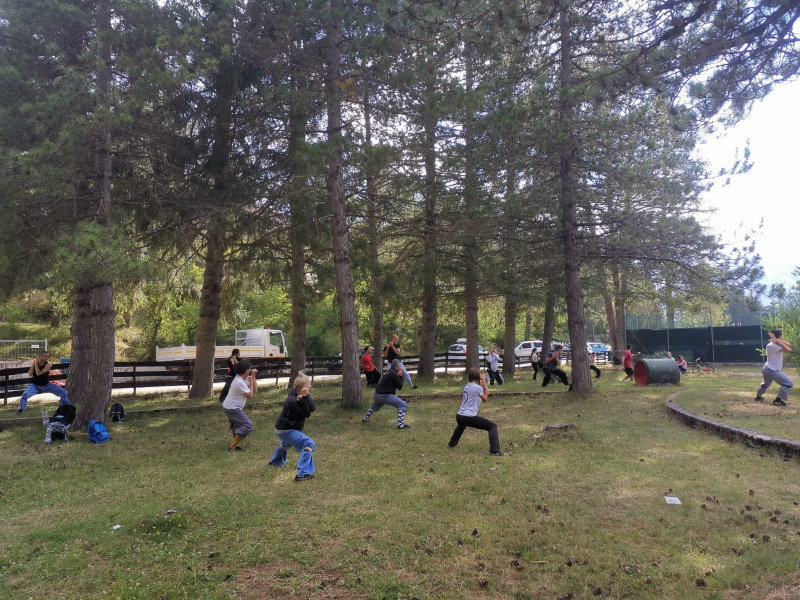 Praticanti durante uno stage Shaolin all aperto