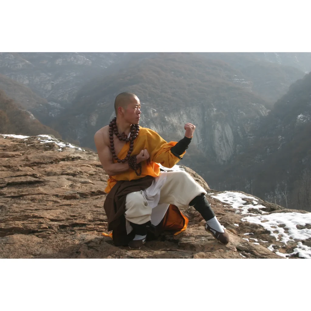 Maestro Shi Yan Hui durante una pratica di Shaolin Kung Fu - fotografia 05
