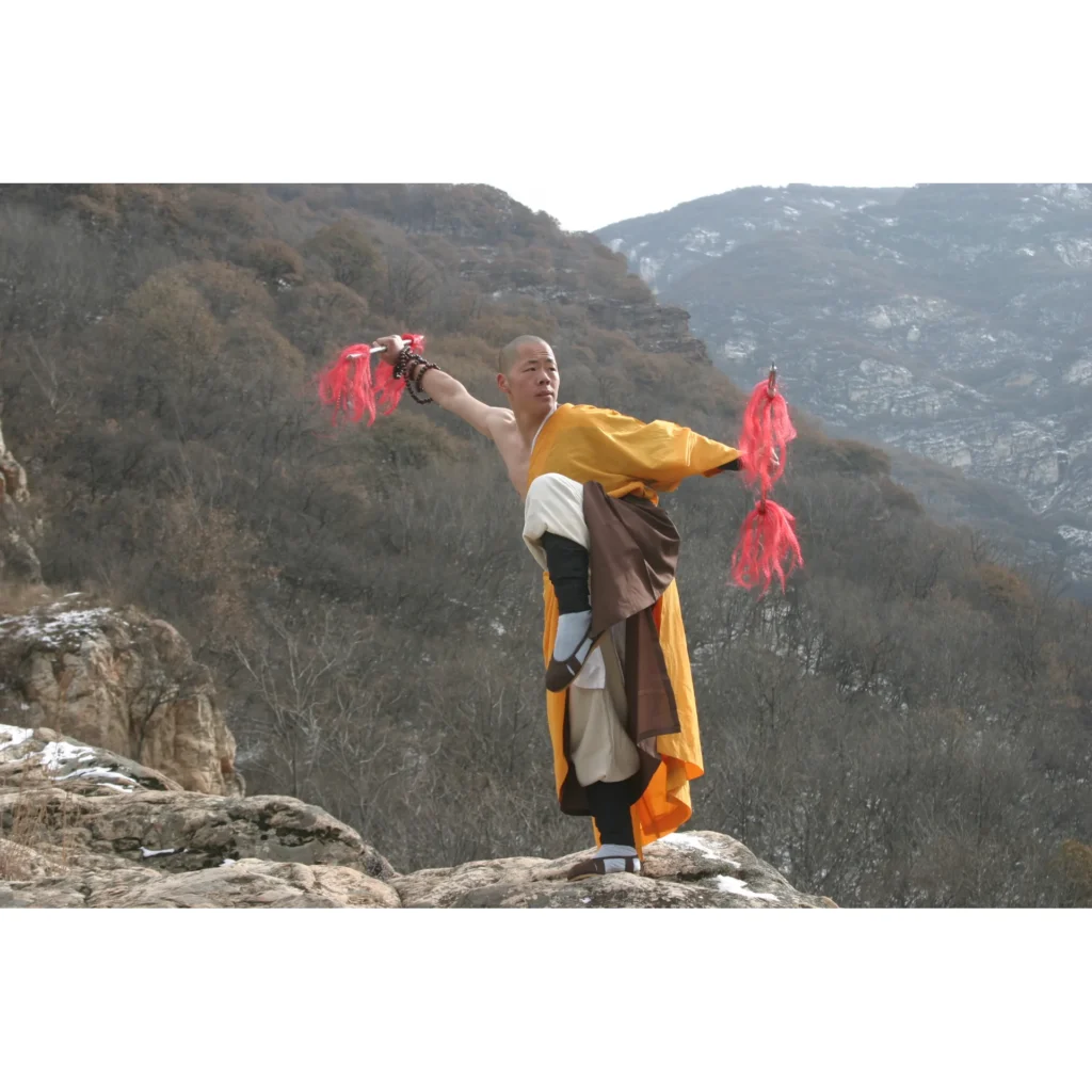 Maestro Shi Yan Hui durante una pratica di Shaolin Kung Fu - fotografia 08
