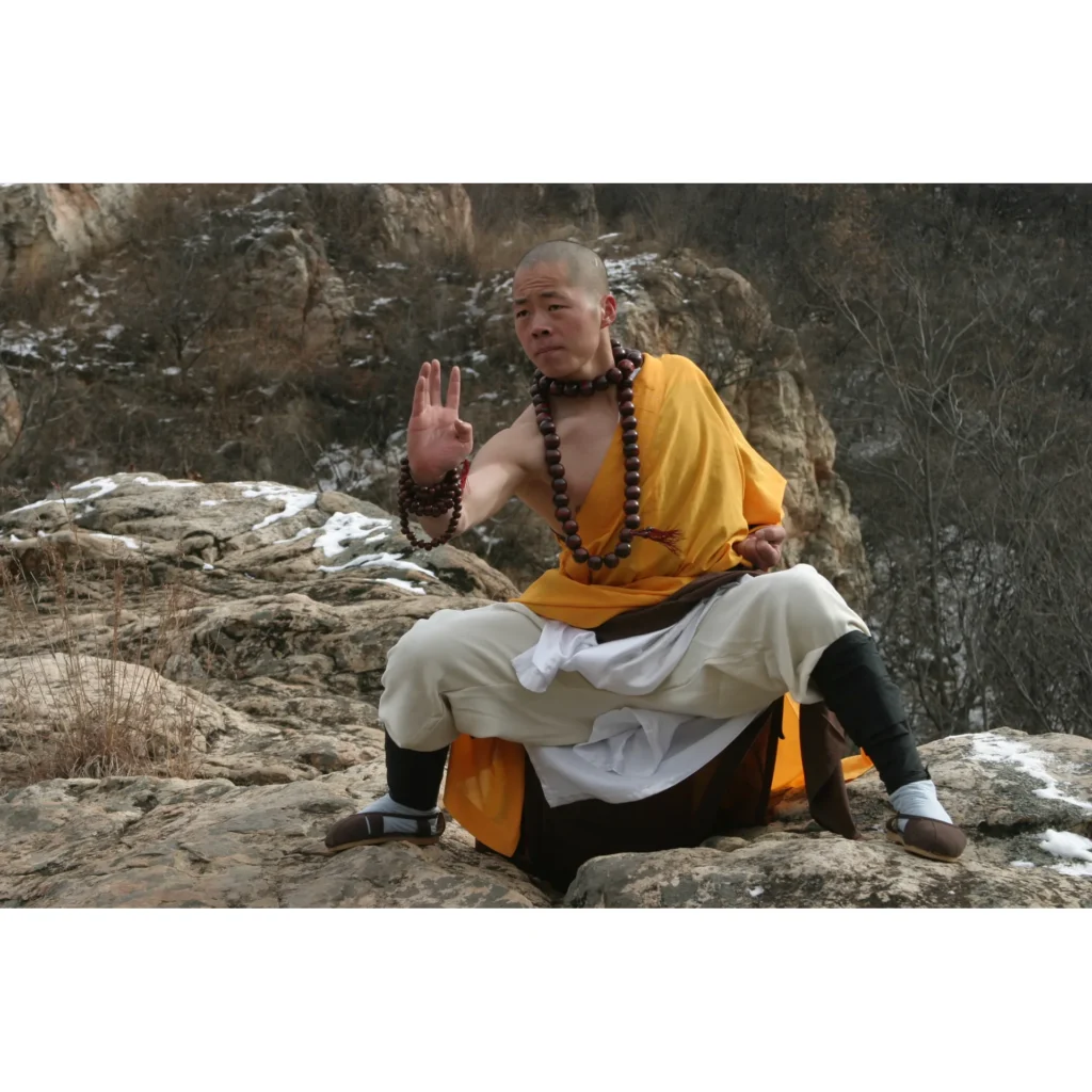Maestro Shi Yan Hui durante una pratica di Shaolin Kung Fu - fotografia 09
