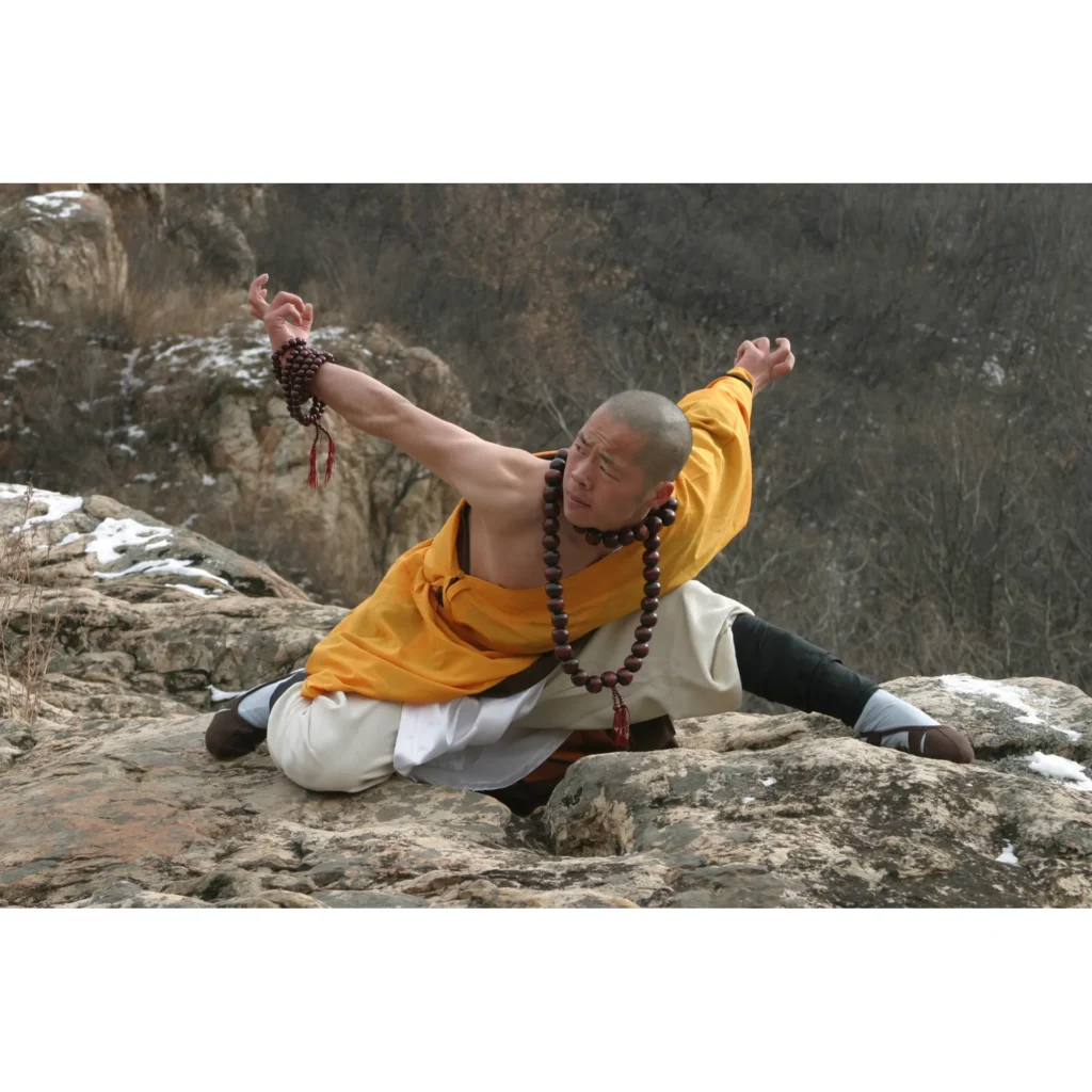 Maestro Shi Yan Hui durante una pratica di Shaolin Kung Fu - fotografia 10