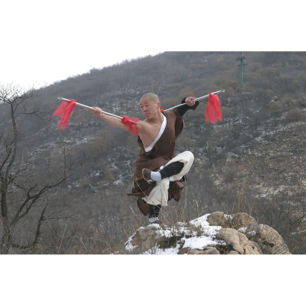 Maestro Shi Yan Hui durante una pratica di Shaolin Kung Fu - fotografia 11