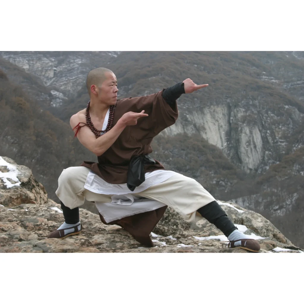 Maestro Shi Yan Hui durante una pratica di Shaolin Kung Fu - fotografia 12