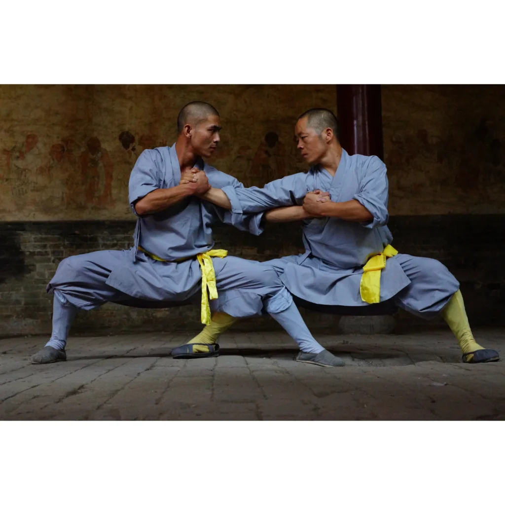 Maestro Shi Yan Hui durante una pratica di Shaolin Kung Fu - fotografia 19