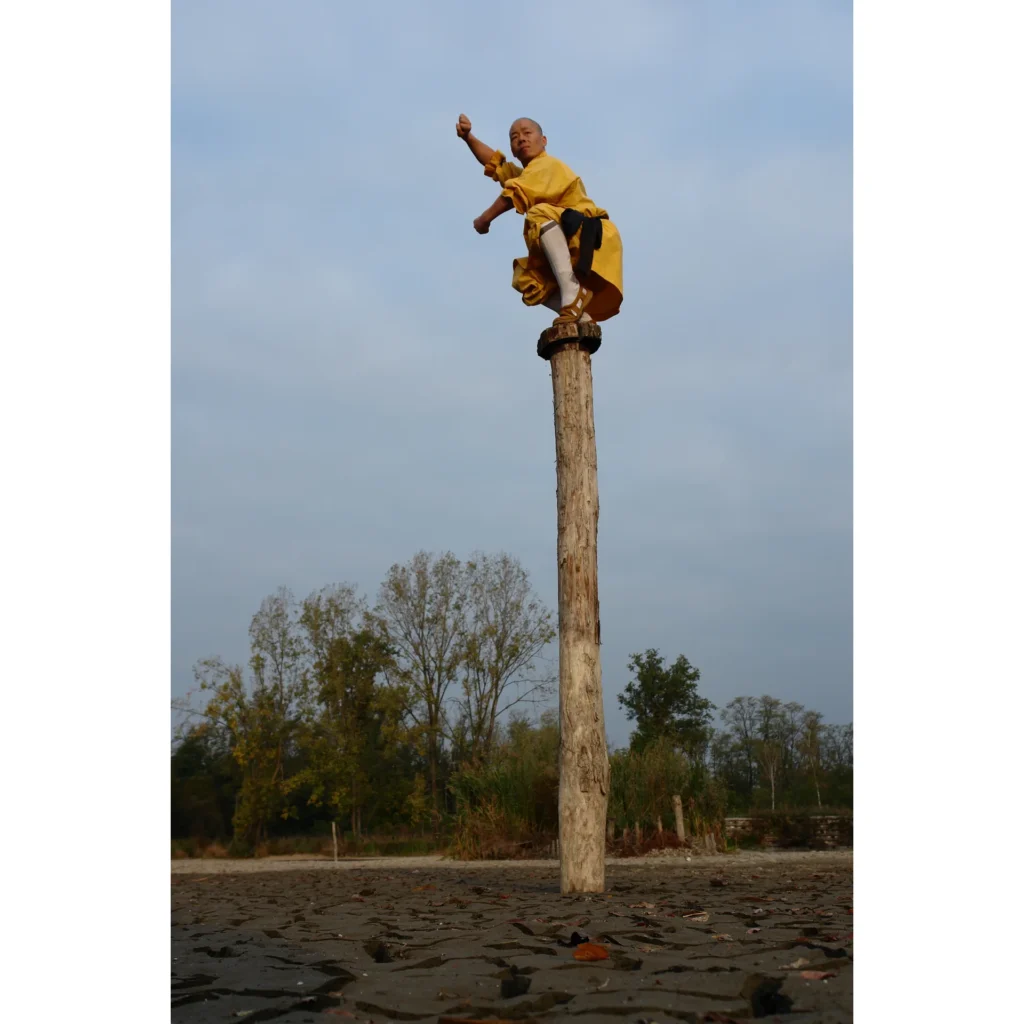 Maestro Shi Yan Hui durante una pratica di Shaolin Kung Fu - fotografia 22