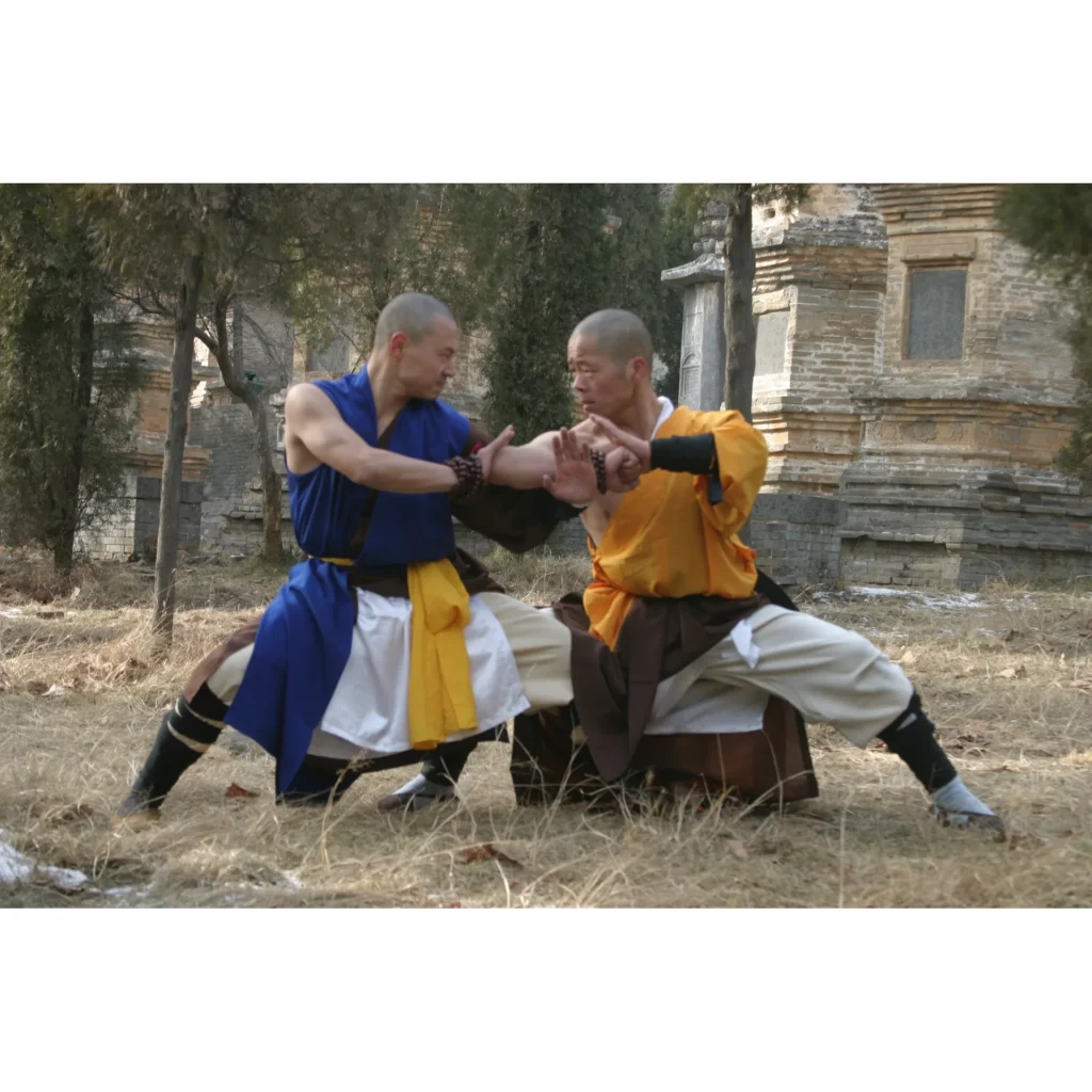 Maestro Shi Yan Hui durante una pratica di Shaolin Kung Fu - fotografia 27