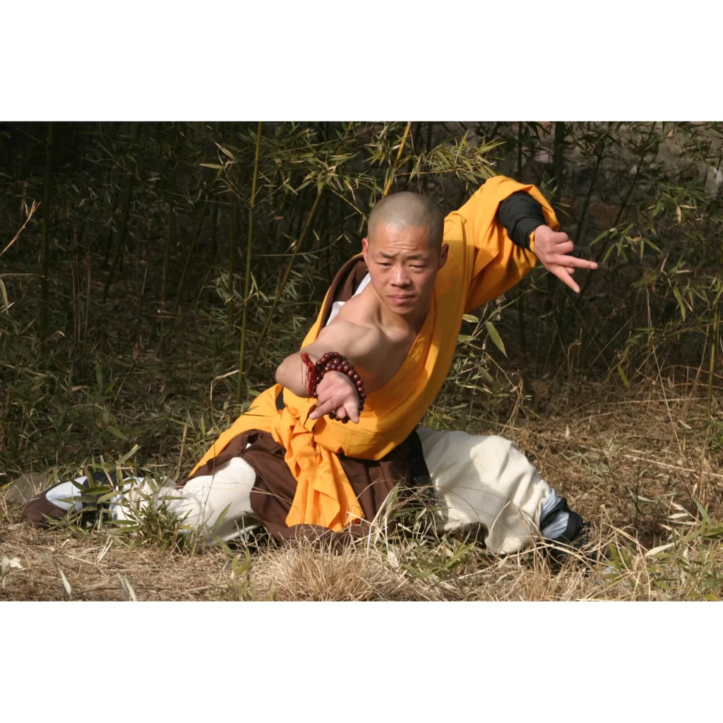 Maestro Shi Yan Hui durante una pratica di Shaolin Kung Fu - fotografia 28