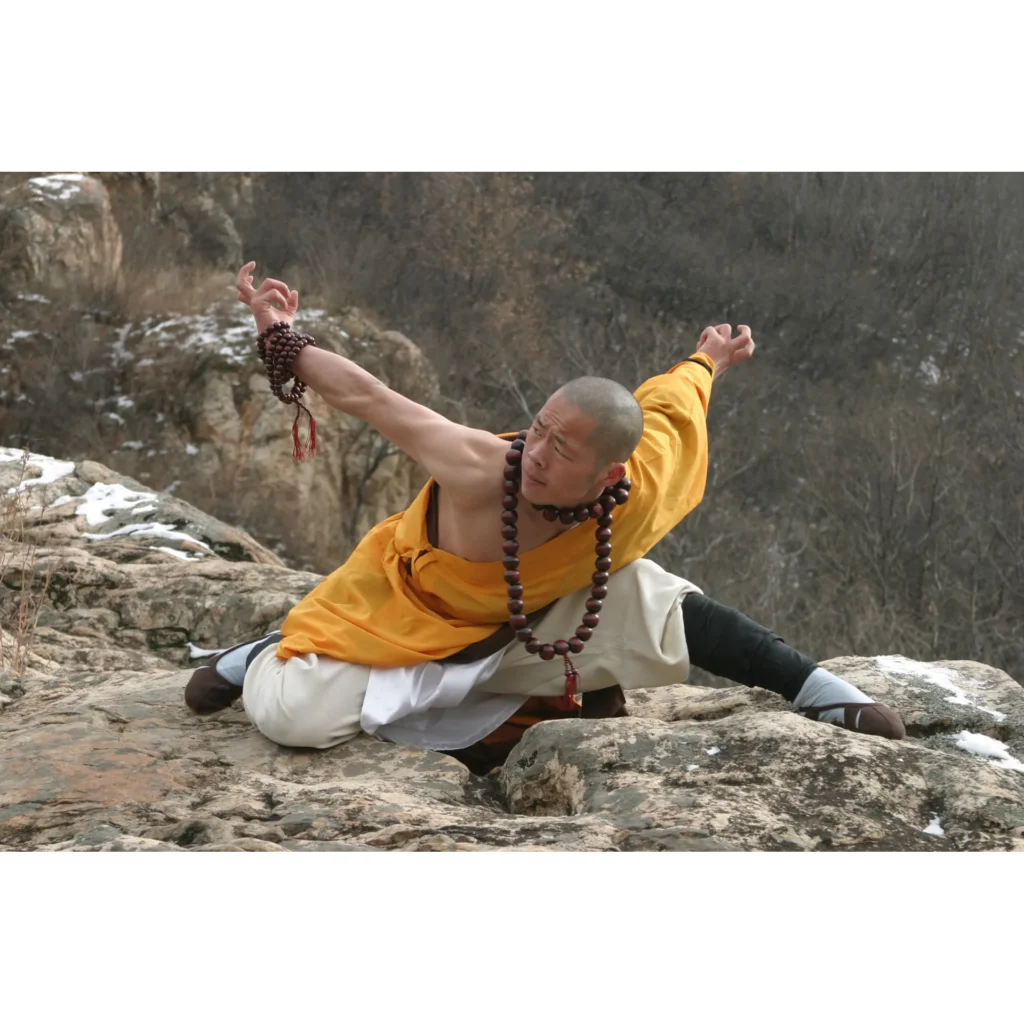 Maestro Shi Yan Hui durante una pratica di Shaolin Kung Fu - fotografia 29