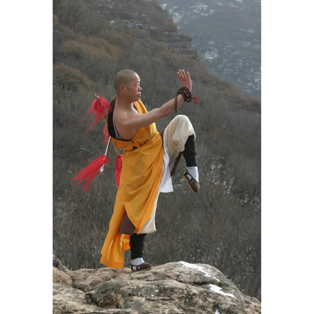 Maestro Shi Yan Hui durante una pratica di Shaolin Kung Fu - fotografia 34