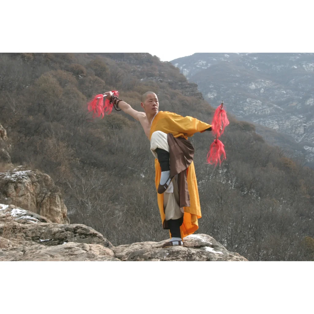 Maestro Shi Yan Hui durante una pratica di Shaolin Kung Fu - fotografia 35