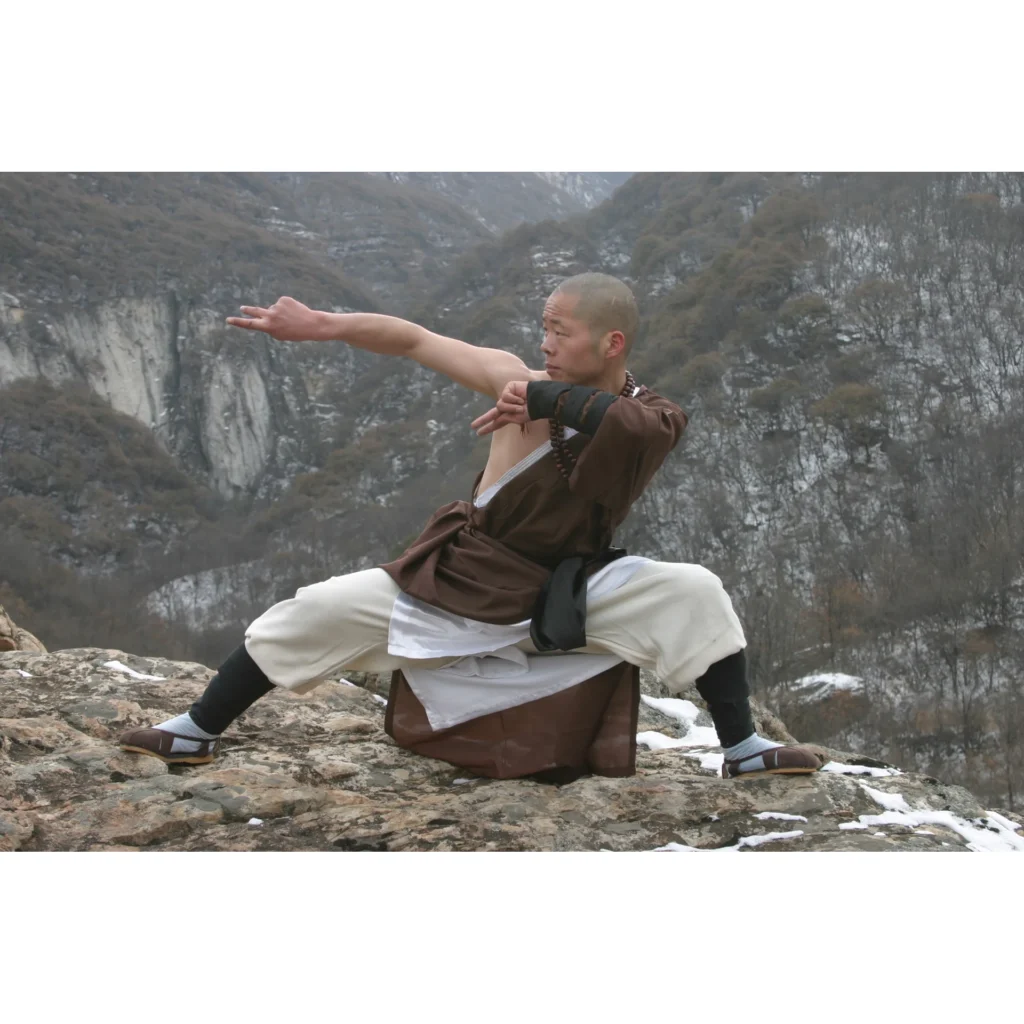 Maestro Shi Yan Hui durante una pratica di Shaolin Kung Fu - fotografia 37